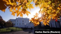 Білий дім на світанку