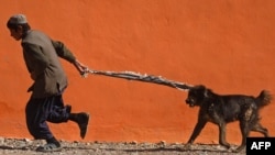 Owganystanyň müňlerçe garyp ýaşaýjylary üçin Nowruz baýramy olaryň gündeki durmuşynyň agyrlygyny hasam güýçli duýmagyna sebäp hem bolýar. 