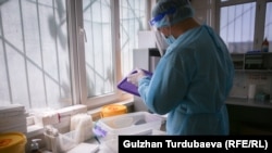 Иллюстрациялык сүрөт.