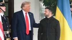 Что известно о готовящейся встрече Трампа и Зеленского