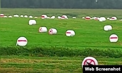 Размаляваныя цюкі пад Дзяржынскам