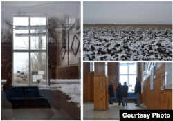 Проект "В полях" (2016)