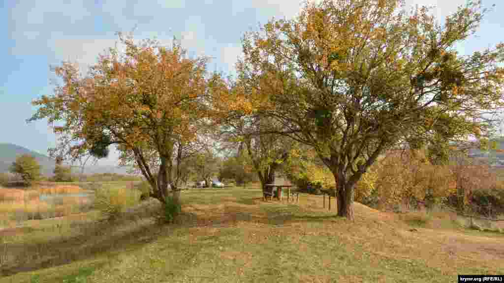 Західним берегом озера, повз два дерева, пролягла ґрунтова дорога