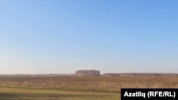 Казанавыл булган җир. Уртада түгәрәкләнеп торган агачлык – зират