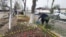 Андижанцы сажают вдоль дорог цветы к приезду Мирзияева.