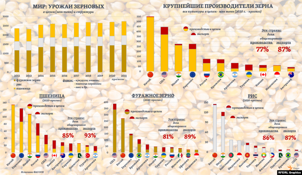 В 2020 году, исходя из&nbsp;прогноза&nbsp;ФАО, 30% общемирового производства зерна придется на две страны &ndash; Китай и Индию, которые при этом экспортируют лишь малую часть своих урожаев. Еще 16% составит доля США и 10% - стран Европейского союза. Доля России в мировом производстве зернновых&nbsp;(всех видов) в уходящем году составит примерно 4,5%, следует из оценок ФАО.