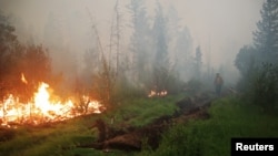 Орусиядагы токойлордун бири, Орусиянын лидери Глазго саммитине катышкан жок
