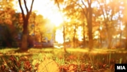 У Києві вночі невеликий дощ, завтра вдень без опадів. Температура вночі 6-8° тепла, вдень 10-12°