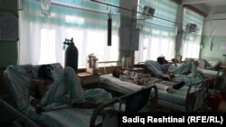 آرشیف - شماری از زخمی ها در شفاخانه ولایت قندهار