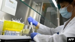 Գերմանիա - Կորոնավիրուսի ՊՇՌ թեստավորման լաբորատորիա Շտուտգարտի հիվանդանոցներից մեկում, փետրվար, 2022թ․