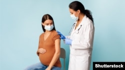 Иллюстратив фото