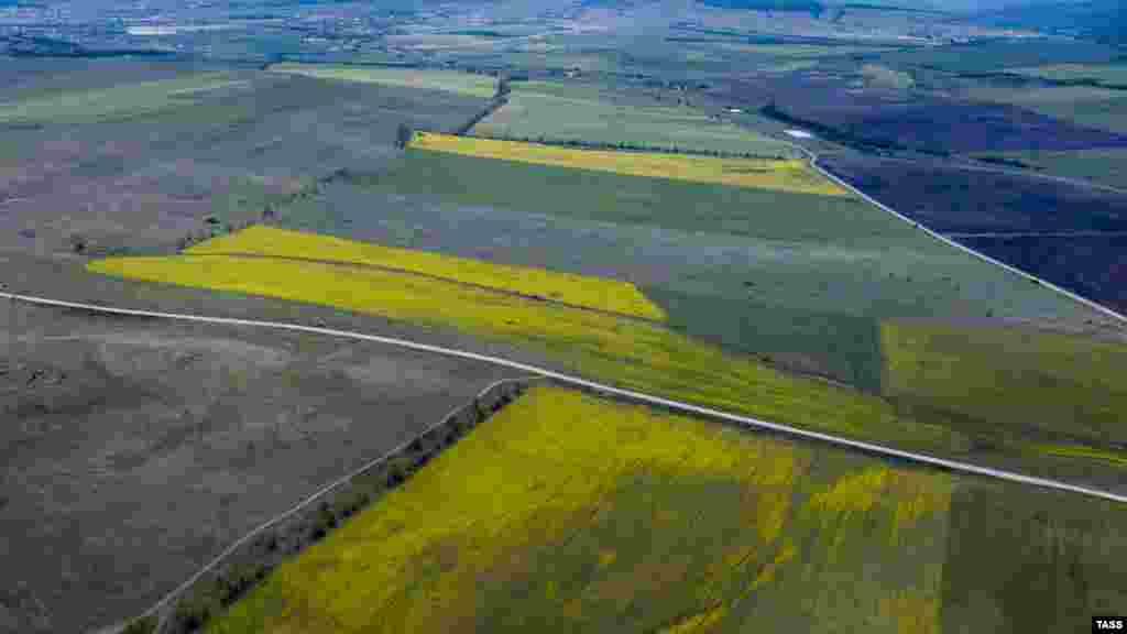 Ріпакові поля з висоти пташиного польоту