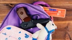 Պետք է հստակ կանոնակարգեն, թե ում են տալիս զենքը, այն երբ կարող է կիրառվել