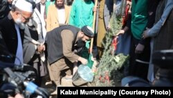 آغاز کمپاین نهال شانی در کابل