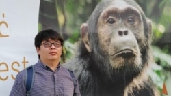 Кескелдирик, куйругуңду кес!