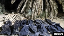 Мигранттардын сөөктөрү. 
