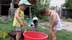 "Өмүр бешиги" Бакудан байге алды