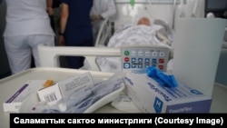 Иллюстрациялык сүрөт.