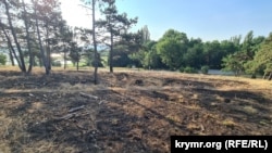 Следы пожара на берегу Симферопольского водохранилища, июль 2025 года.