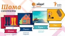 Тест: синонимы слова "шома"