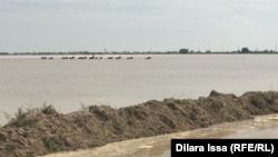 Қозоғистоннинг Туркистон вилояти Махтаарал туманидаги сув тошқини.