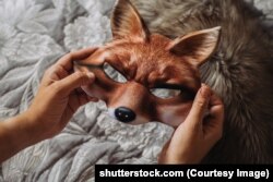 Маска лісіцы