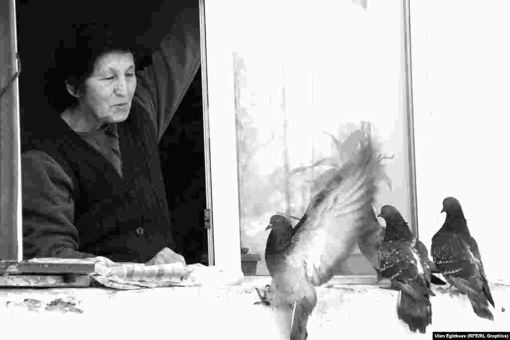 Небере багуу бактысы буюрбагандар көгүчкөнгө болсо да мээрим төгүшөт.