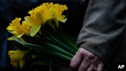 На вулицях польських міст волонтери роздаватимуть перехожим жовті паперові нарциси – символ жертв найбільшого збройного повстання євреїв під час Другої світової війни