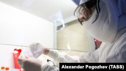 Коронавирусту аныктаган лабораториянын адиси. 