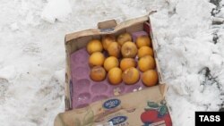 Пока грузовики с мандаринами стояли на границе, фрукты замерзли и начали портиться
