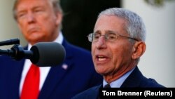 Doktor Anthony Fauci  