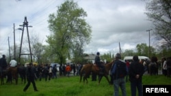 Петровкадагы тополоң. 26-апрель, 2009-жыл.