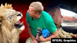 Власник парку левів «Тайган» та зоопарку «Казка» кримчанин Олег Зубков. Колаж