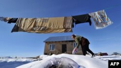 Бишкектеги жаңы конуштардын бири. Иллюстрациялык сүрөт.