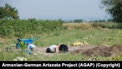 Հայ-գերմանական «Արտաշատ» նախագծի անդամները պեղումների ժամանակ, 2019 թվականի ամառ: