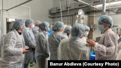 Программанын катышуучулары.