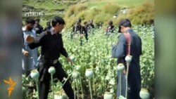 События в регионе Азаттыка