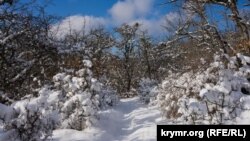 Иллюстрациялык сүрөт.