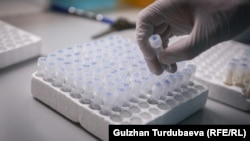 Одна из лабораторий в Кыргызстане. Иллюстративное фото. 