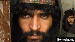 "Talyban" söweşijisi