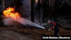 آتش‌سوزی در ترکیه، عکس از آرشیف