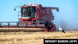 Poljoprivrednik na svom traktoru žanje polje ječma u ukrajinskoj oblasti Harkiv, 18. juli 2022.
