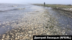 Поверхность залива Пильтун.