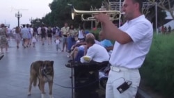 Музика перемогла. Вуличному трубачу з Ялти дозволили грати на набережній (відео)