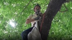 «Спасающий жизни». Как профессор помогает попавшим в беду животным