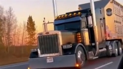 В США приостановили выдачу виз дальнобойщикам