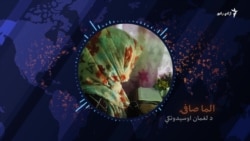 زنان در مورد صلح در افغانستان چی می‌گویند؟