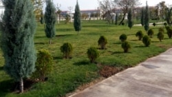 Türkmenistanda 'ählihalk' ýowary geçirildi, ýerli media ony ‘zähmet baýramçylygy’ häsiýetlendirdi