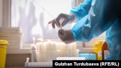 Коронавируска анализ алуу учуру. 