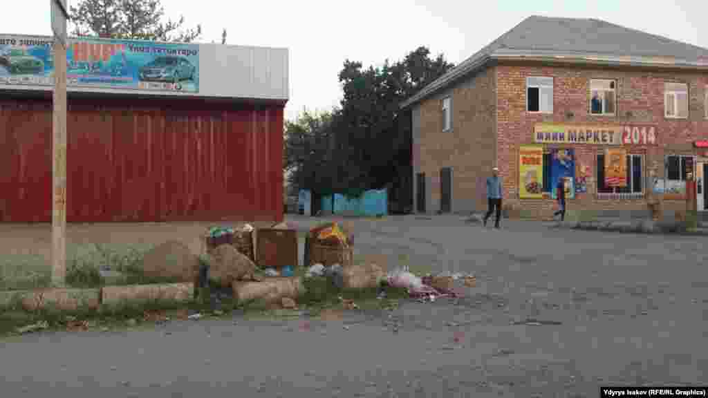 Кызыл-Кыя шаарында 50 миңдей эл жашайт. Шаардын таштанды&nbsp;үчүн акы төлөгөн 12 миң абоненти бар.